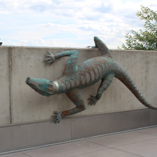 Lizard 2
